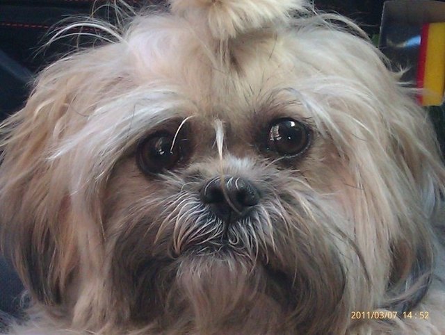 Unsere Bella