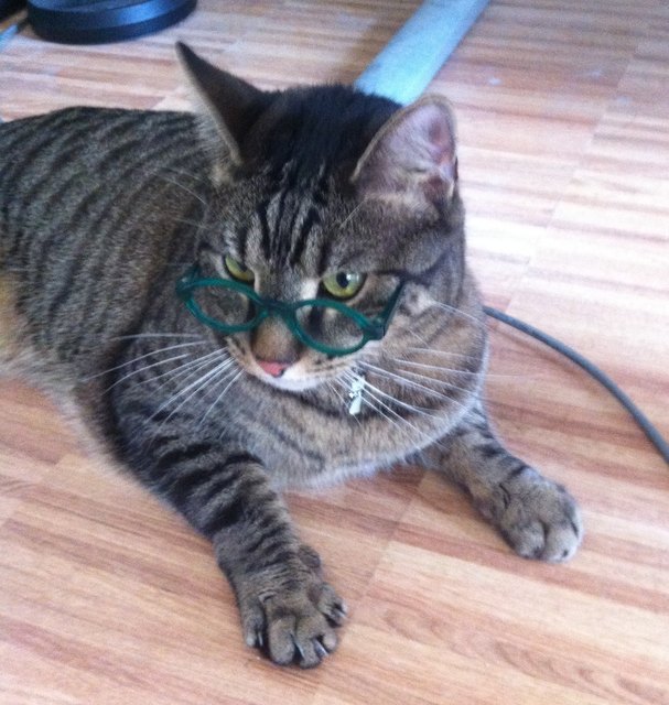 Prof. Dr. Twiggy