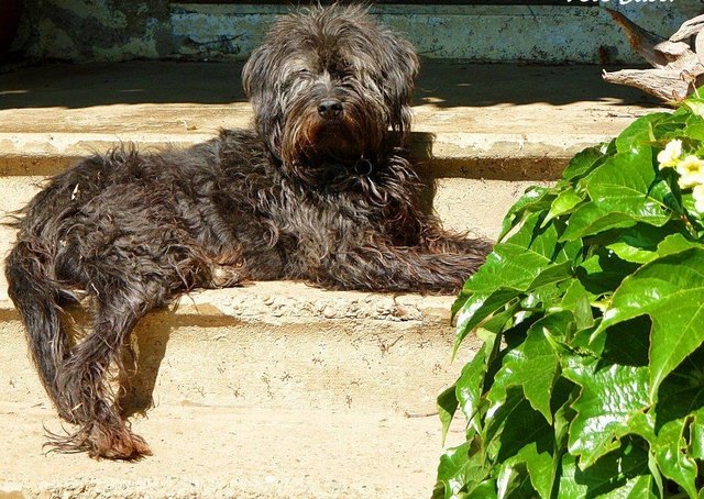 Sonne,sonne und nochmals sonne