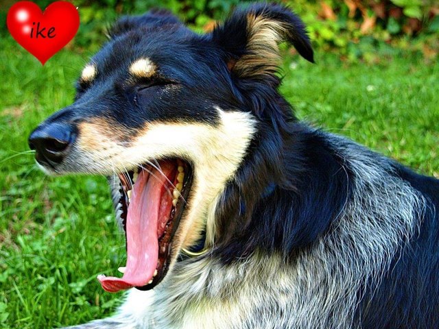 soooo müde