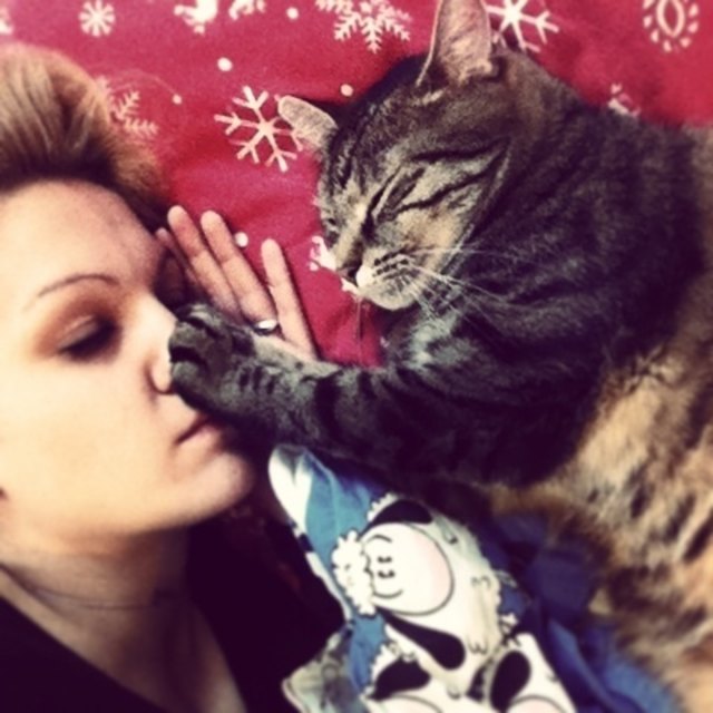 Kuscheln mit meinen dicken Kater :)