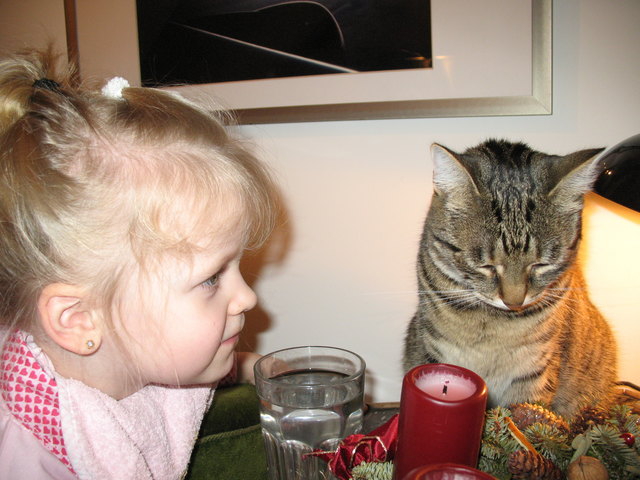 Ein einzigartiger Zauber: Kinder und Katzen