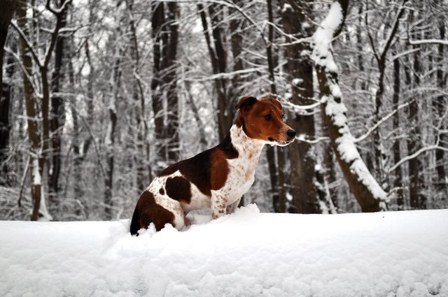Winter in der Stadt