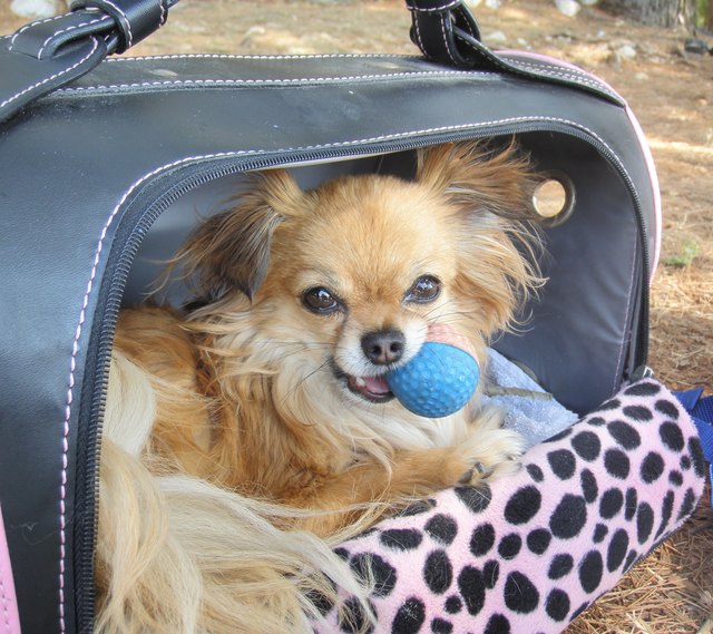 Aiko in Croatien :)