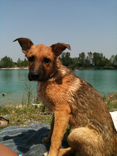 Amy die Wasserratte