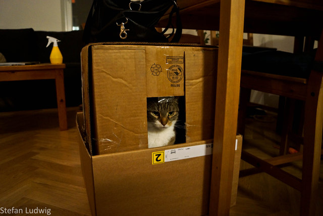Hugo in a box