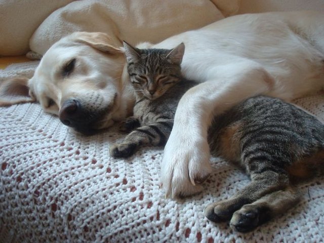 DAS ist wahre Liebe!