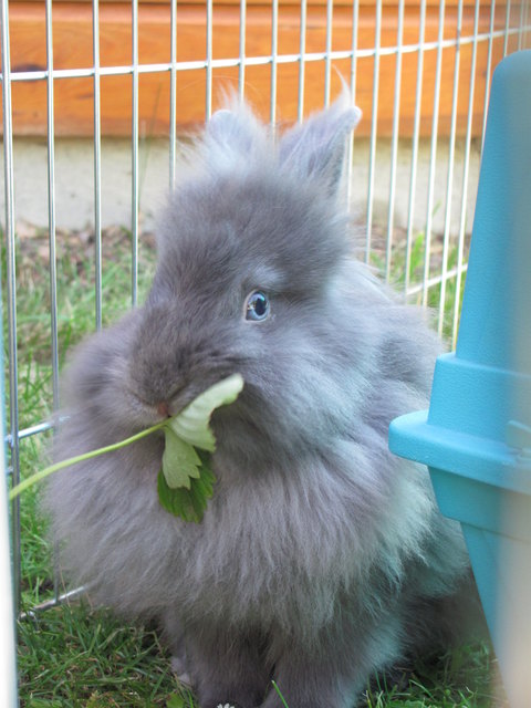 soooo lecker....