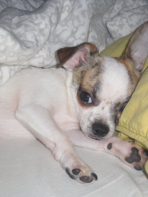 So richtig nett ist es nur im Bett!!