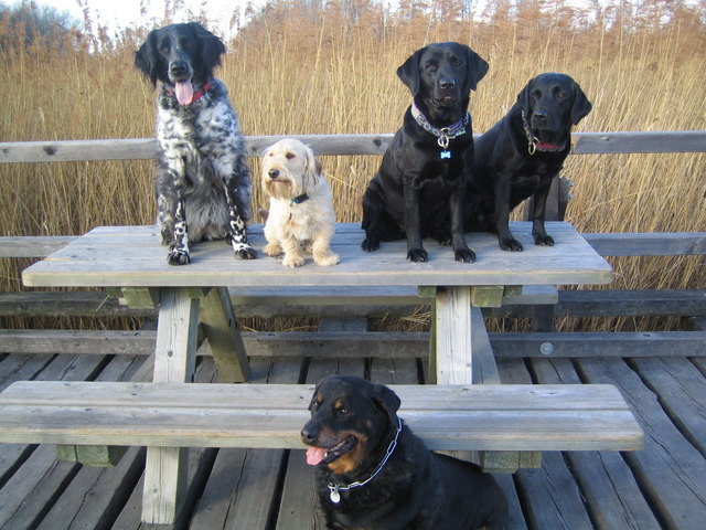 Deny, Josef, Irmchen, Gianna & Babe