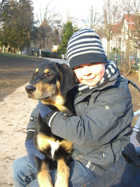 Dreamteam