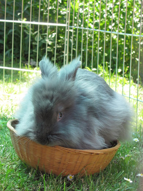 Mein Nest