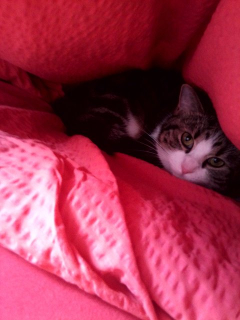 Ich versteck mich mal