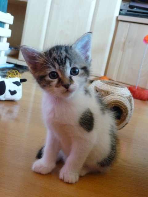 Kann man diesem Blick wiederstehen?