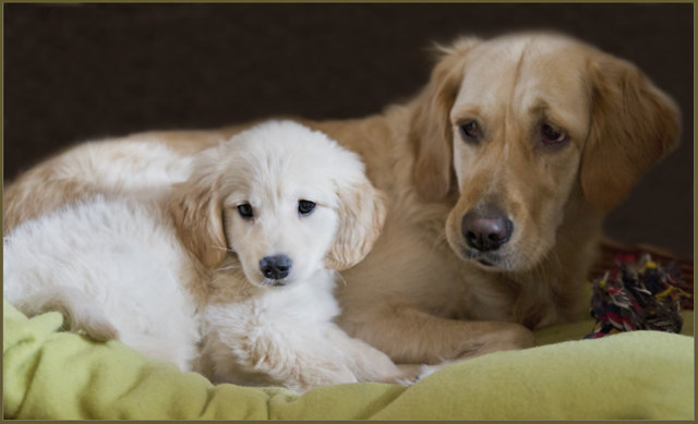 Mex und Bella (1)