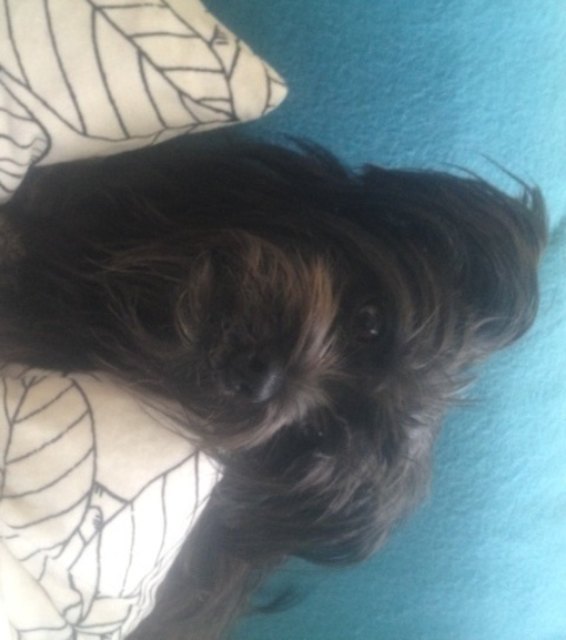 Meine kleine Hübsche :)