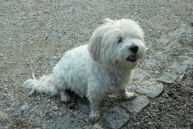 Suki reist nach Cesky Krumlov