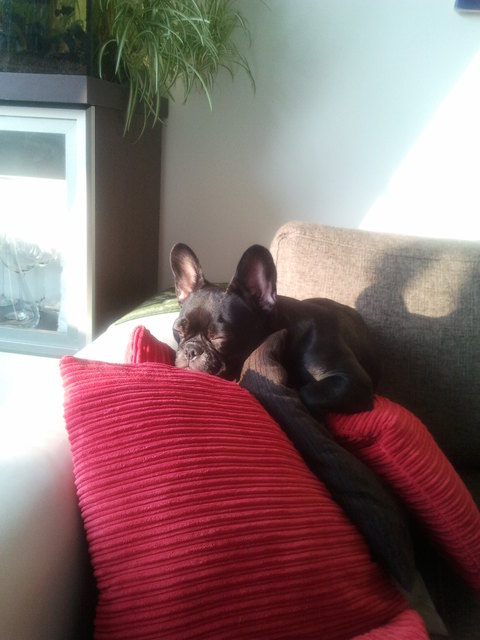 Der Sonne entgegen