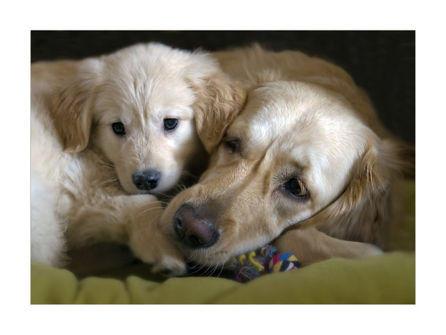 Mex und Bella