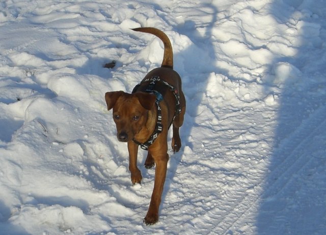 Ein sonniger Wintertag kann so herrlich sein !