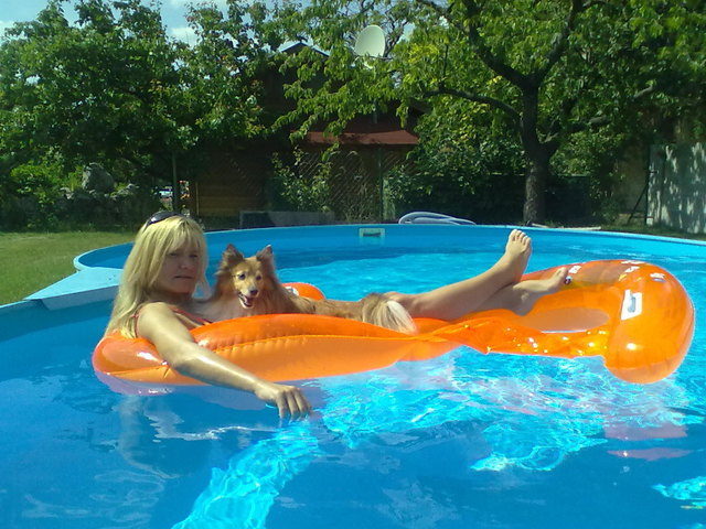 Pool Sheltie :)