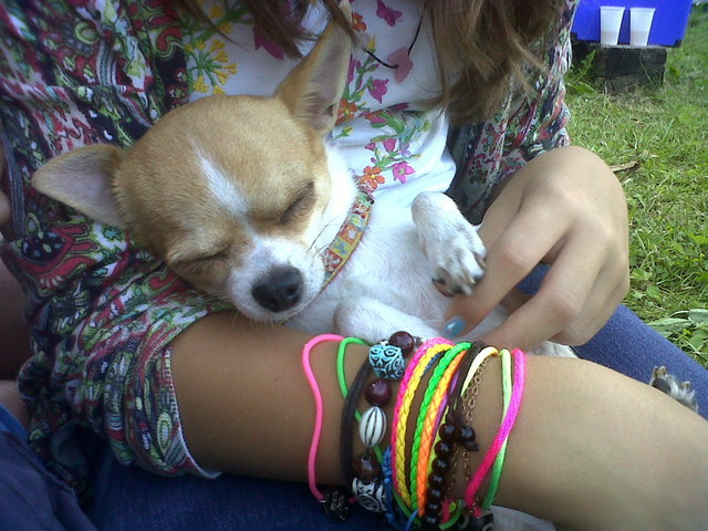 unsere LOLA