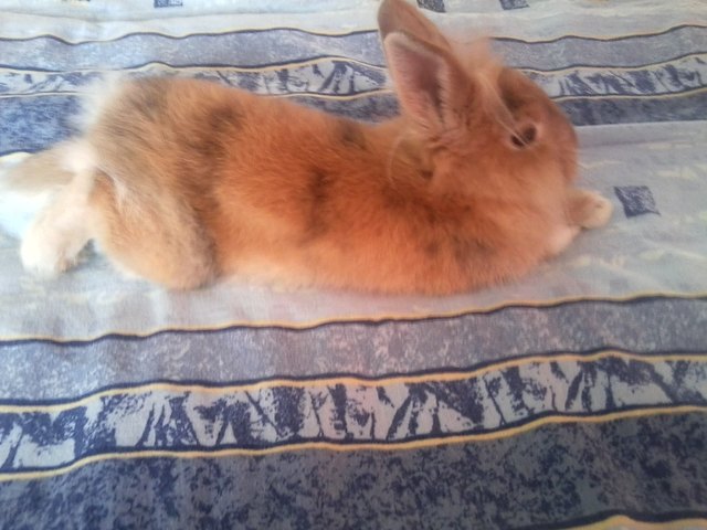 hier ist es bequem