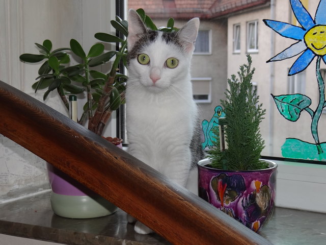 Lilly auf Entdeckungstour