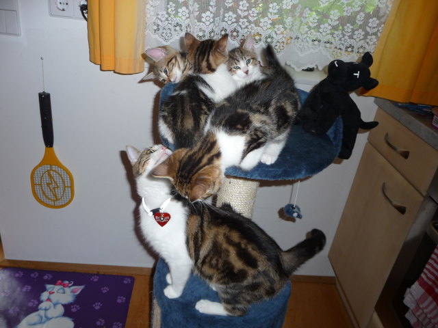 hilfe, da ist zu wenig Platz