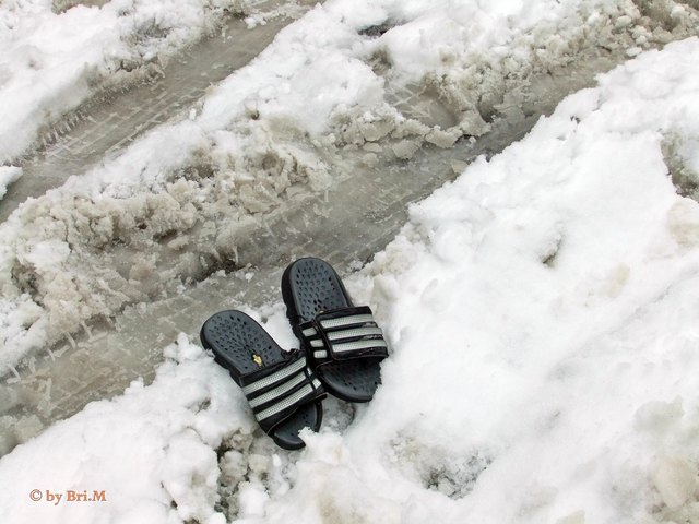 Hier war wohl die Sehnsucht nach dem Sommer schon sehr groß - gesehen auf einer belebten Straße ;-)