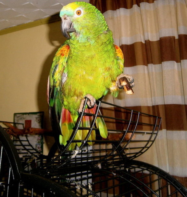 Laura