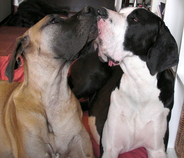 Trudi & Alma