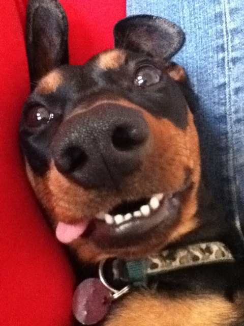 Kleo entspannt