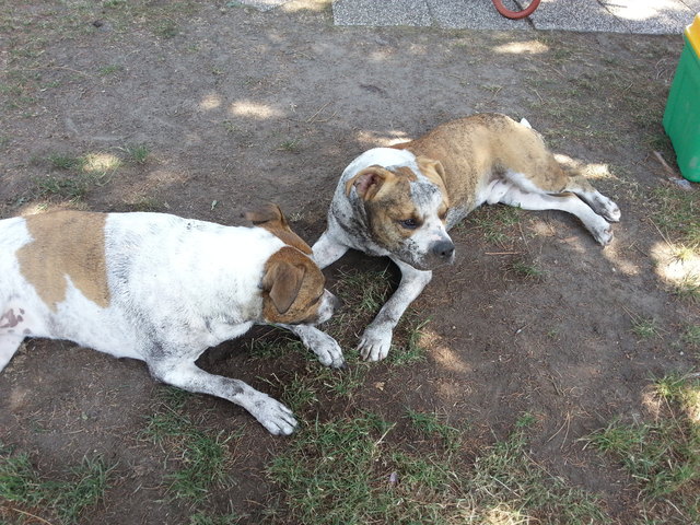 Wir haben doch nicht im Dreck gespielt!?! =)