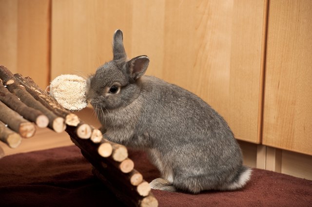 Blümchen bei der Arbeit