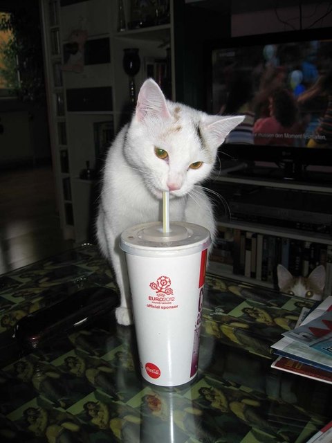 Mitzi hat Durst