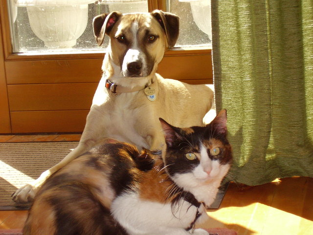Jeanie und Lola warten auf den Frühling