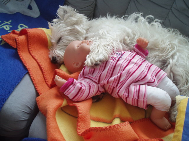 Unser Liebling Maxi mit seiner Puppe