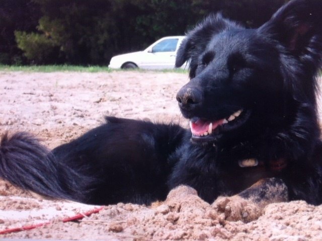 Strand Sonne Spass und meeeeeehr