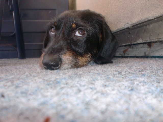 mimmi ;)
