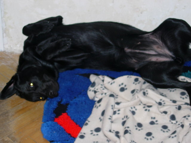 so bequem