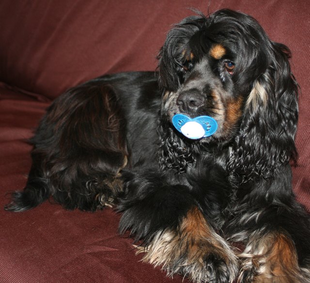 Unser Baby Sam