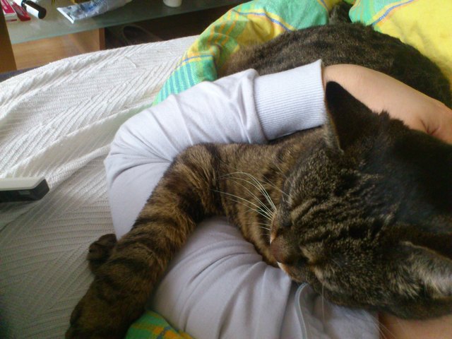 kuscheln :)