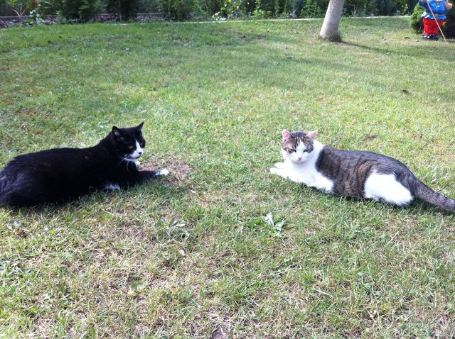 Murli und Susi