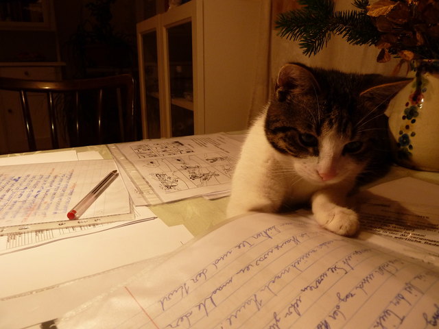 kater hilft beim Korrigieren