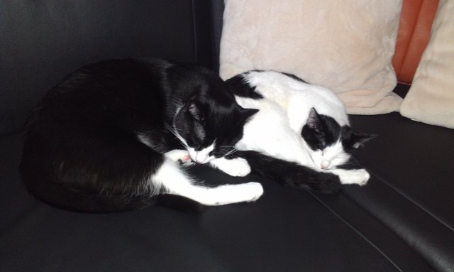 Mailo & Lilo