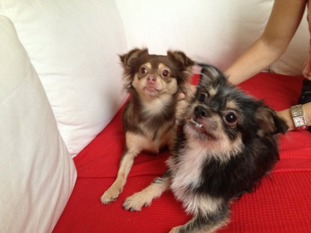 Pippi Lotta und Tommy :)