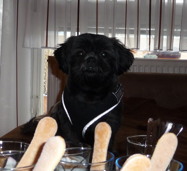 Lecker denkt sich Lilu