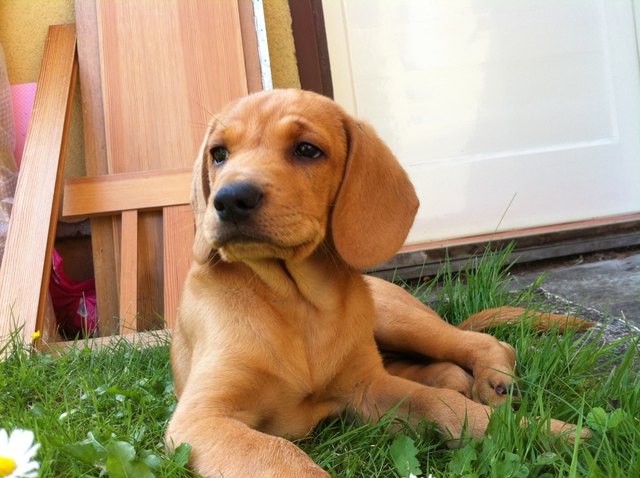 Josy erlebt jeden Tag was neues!