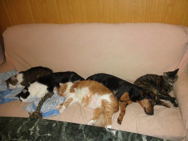 Gruppenkuscheln